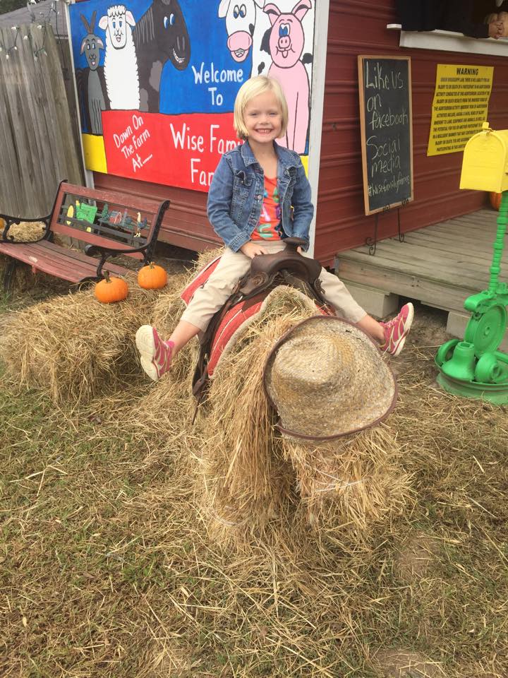 ephrata pumpkin patch