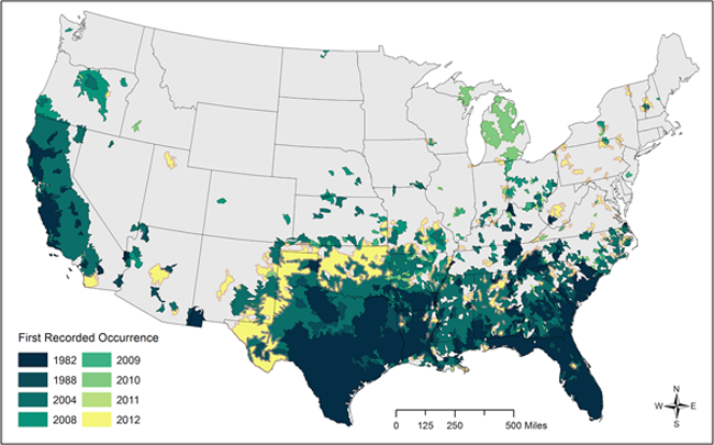 Rampaging Radioactive Wild Boars Causing Havoc - Growing Alabama